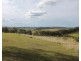 975 Killarney Barlows Gate Rd, Elbow Valley QLD 4370