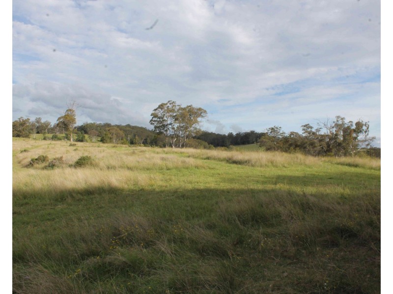 975 Killarney Barlows Gate Rd, Elbow Valley QLD 4370