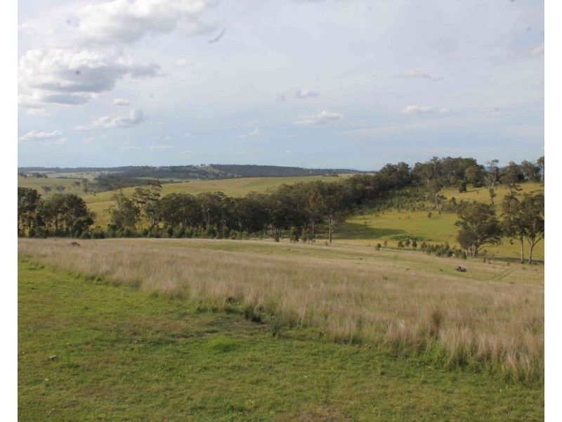 975 Killarney Barlows Gate Rd, Elbow Valley QLD 4370