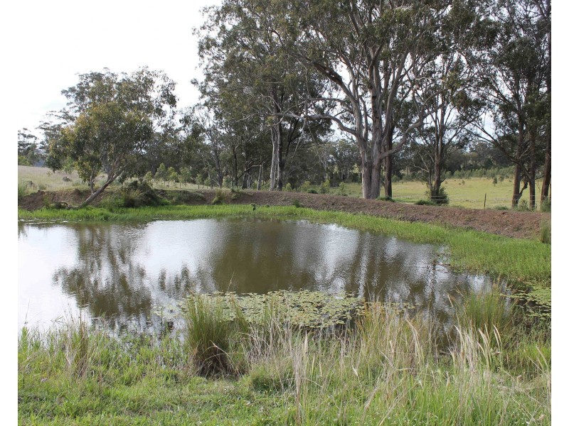 975 Killarney Barlows Gate Rd, Elbow Valley QLD 4370