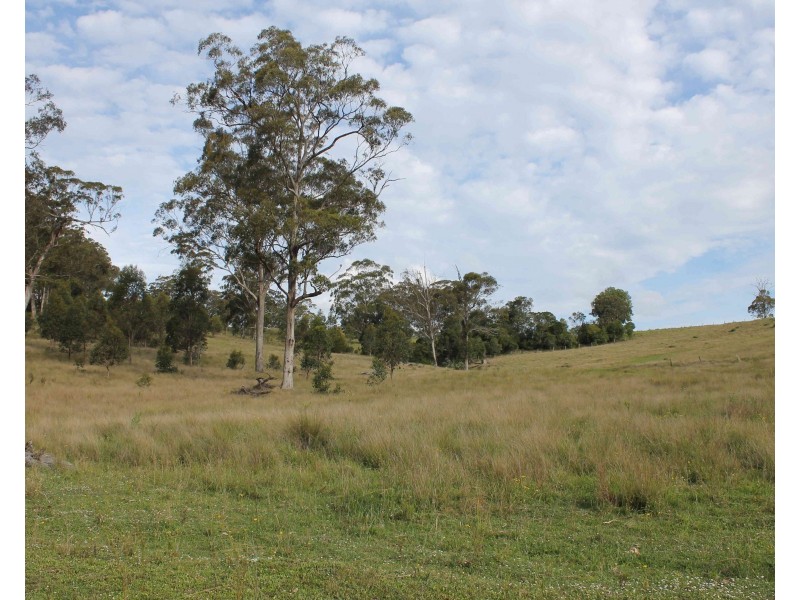 975 Killarney Barlows Gate Rd, Elbow Valley QLD 4370