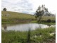 975 Killarney Barlows Gate Rd, Elbow Valley QLD 4370