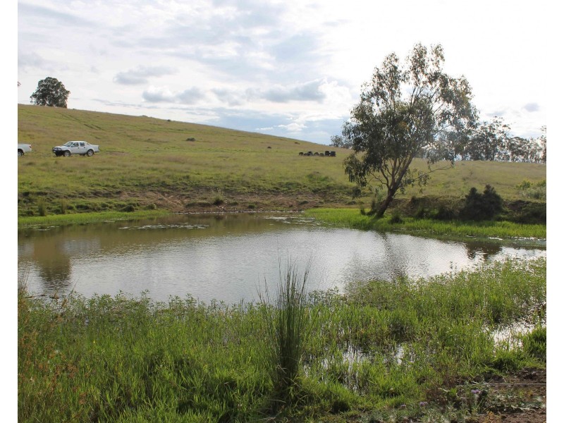 975 Killarney Barlows Gate Rd, Elbow Valley QLD 4370
