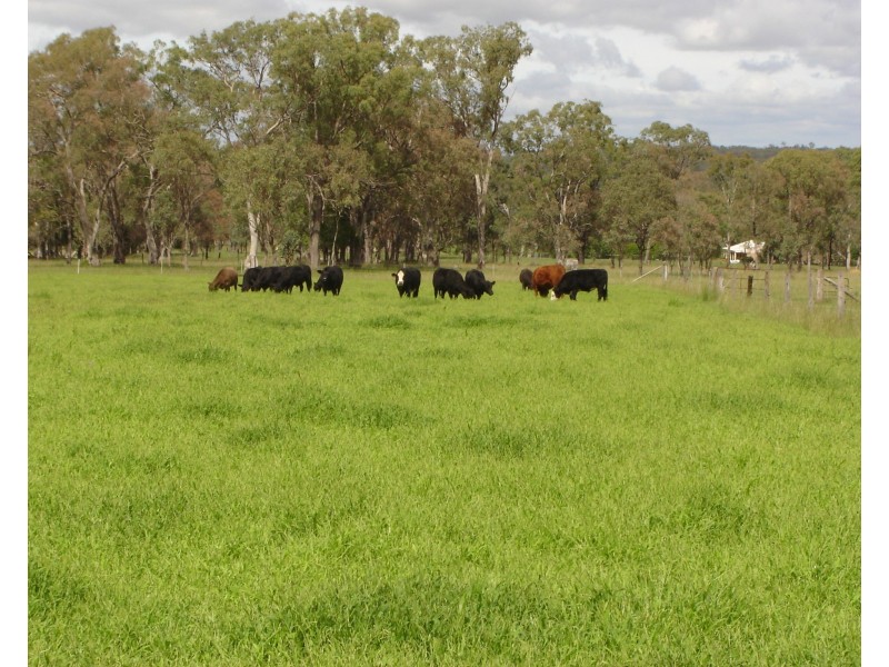 154 Strudwicks Rd, Yangan QLD 4371
