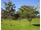 154 Strudwicks Rd, Yangan QLD 4371