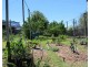 154 Strudwicks Rd, Yangan QLD 4371
