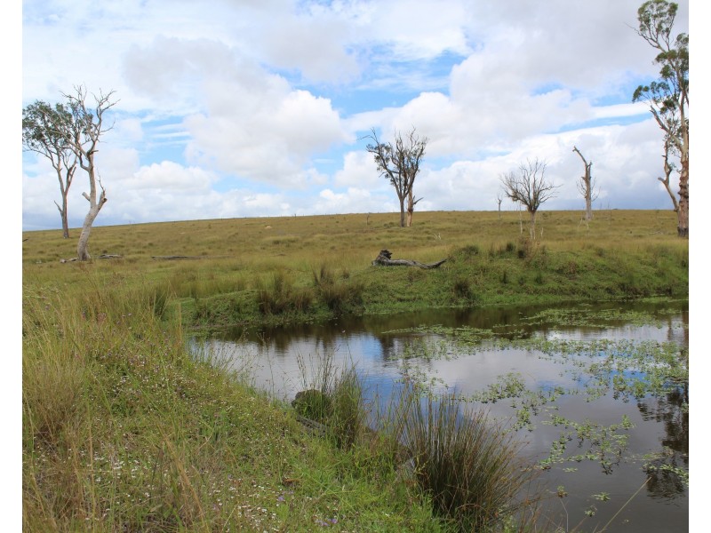 Lot 2 Barlows Gate Road, Elbow Valley QLD 4370