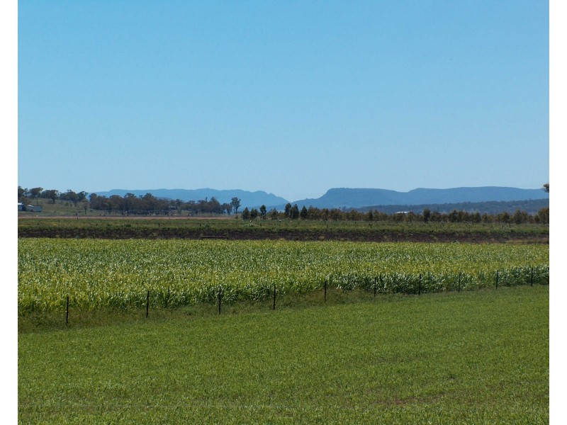 270 Black Soil Lane, Upper Wheatvale QLD 4370