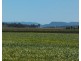 270 Black Soil Lane, Upper Wheatvale QLD 4370