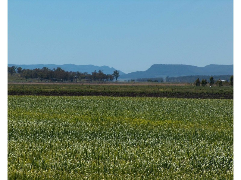 270 Black Soil Lane, Upper Wheatvale QLD 4370