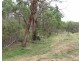 Lot 113 Barlows Gate Road, Elbow Valley QLD 4370