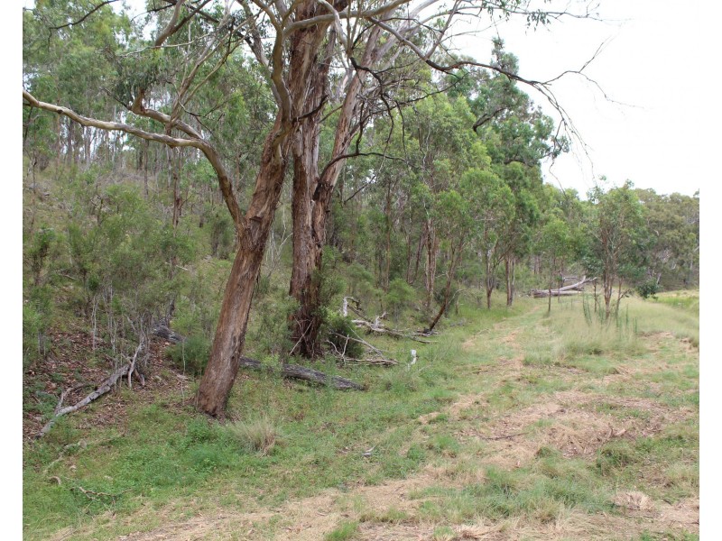 Lot 113 Barlows Gate Road, Elbow Valley QLD 4370
