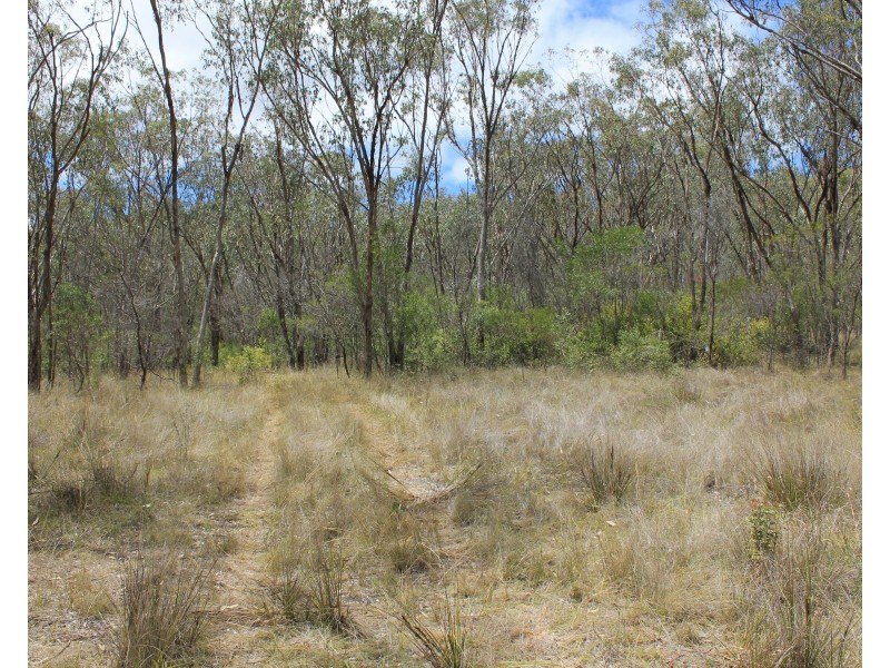 Lot 51 Charleys Gully Road, Freestone QLD 4370
