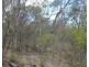 Lot 51 Charleys Gully Road, Freestone QLD 4370