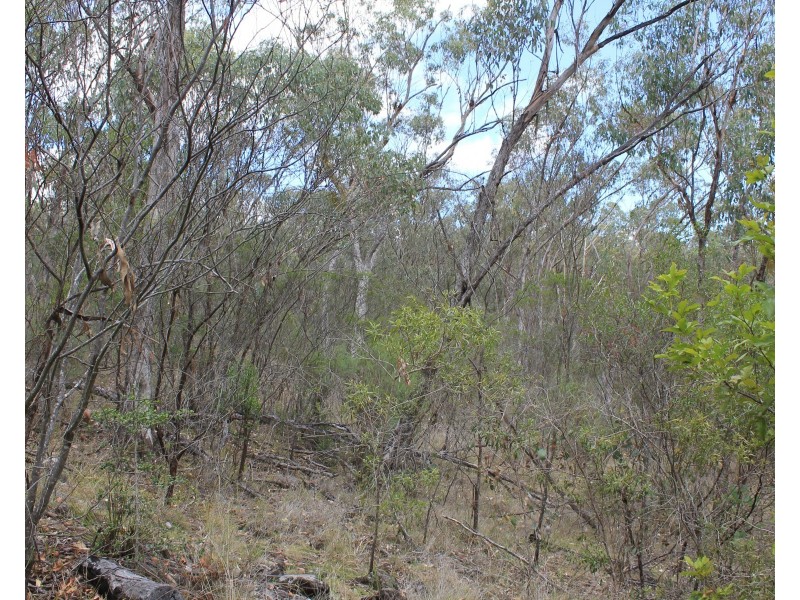 Lot 51 Charleys Gully Road, Freestone QLD 4370