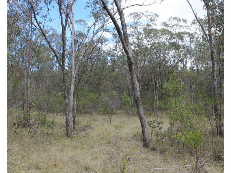 Lot 51 Charleys Gully Road, Freestone QLD 4370