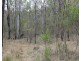 Lot 51 Charleys Gully Road, Freestone QLD 4370