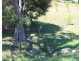 5 Mayra Ct, Warwick QLD 4370