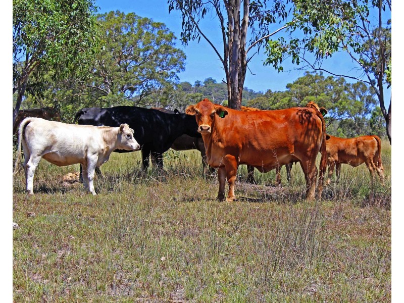 20439 New England Hwy, Warwick QLD 4370