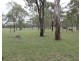 Lot 34 & 35 Elliot St, Pratten QLD 4370