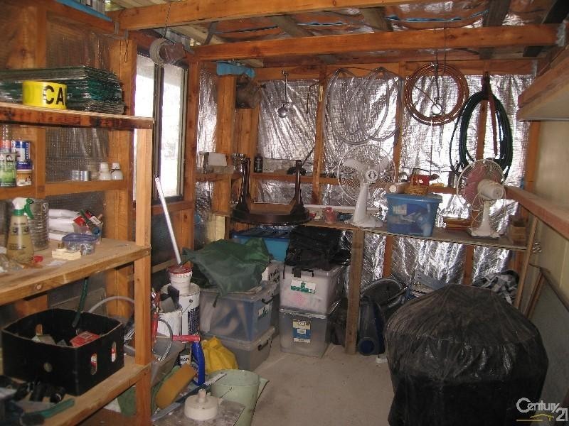 11 Golden Willows Drive, Willows QLD 4702