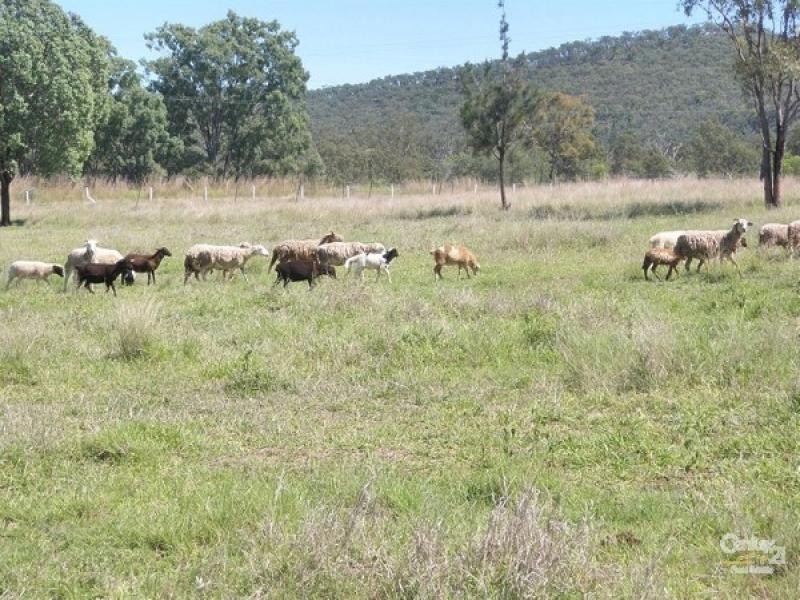 Mount Morgan QLD 4714