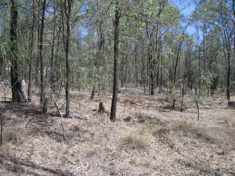 Sapphire QLD 4702