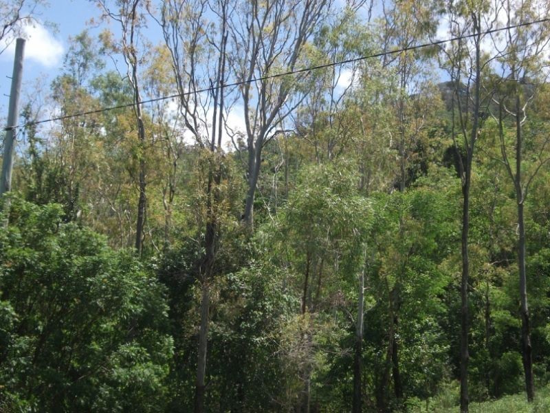 Mount Julian QLD 4800
