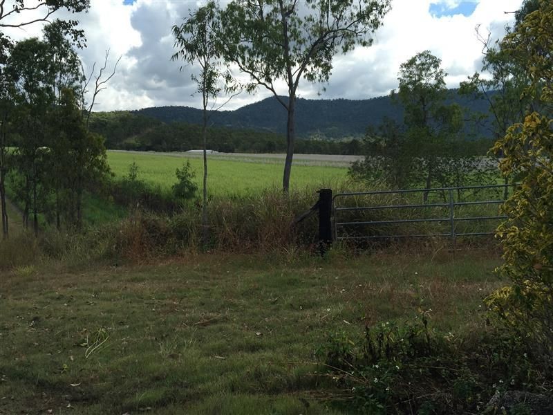 Riordanvale QLD 4800