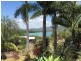Cannonvale QLD 4802