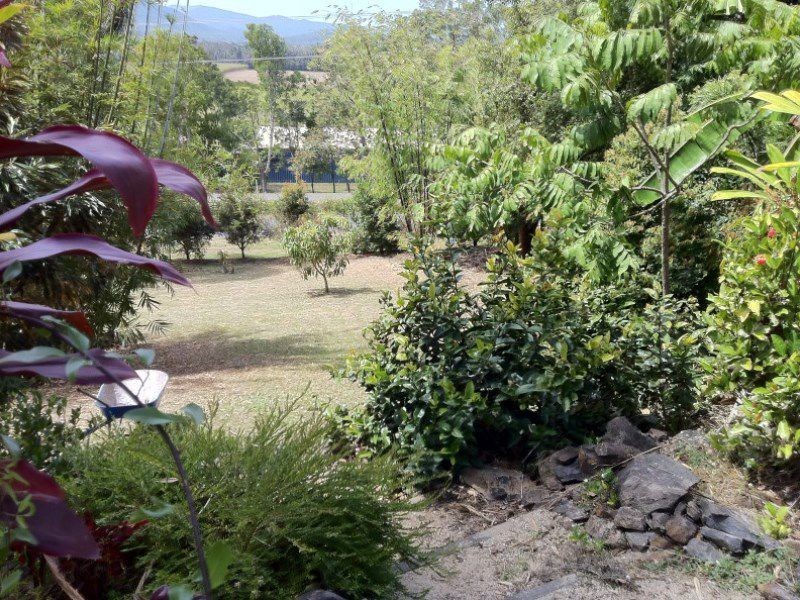 25 Pini Road, Strathdickie QLD 4800