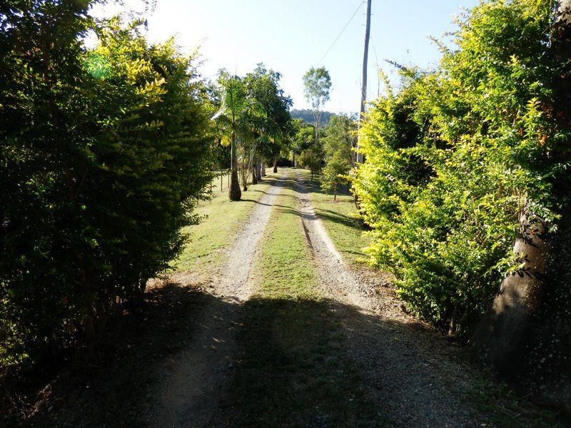 99 Turner Road, Riordanvale QLD 4800