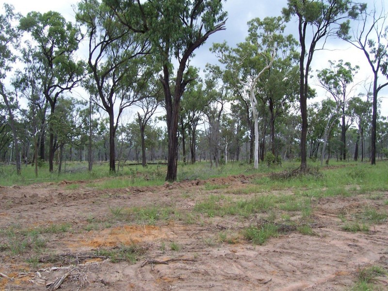 Lot 22 Fingers Road, Dingo QLD 4702