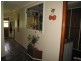 Rubyvale QLD 4702