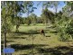 29 Jones Street, Rothwell QLD 4022