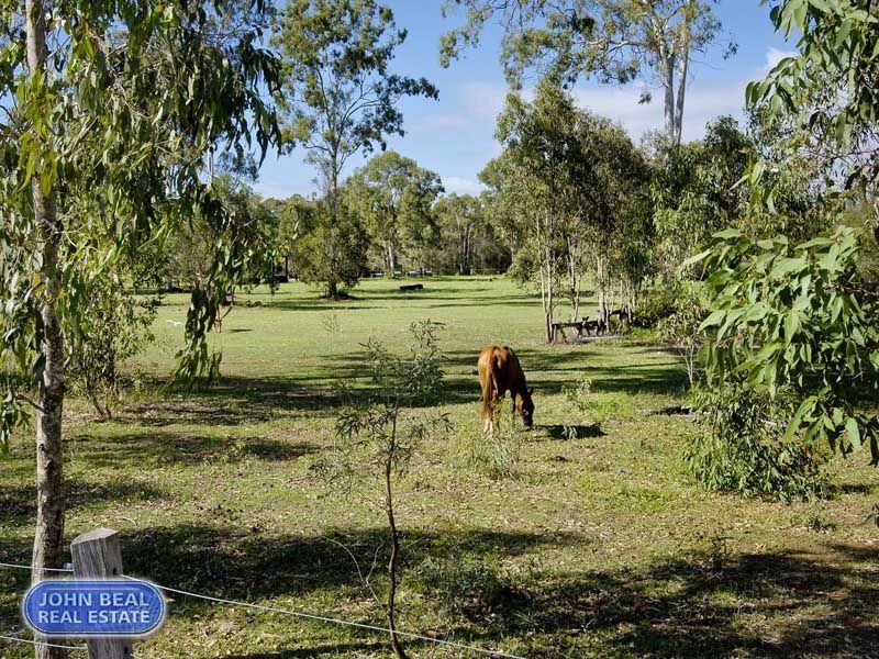 29 Jones Street, Rothwell QLD 4022