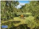 29 Jones Street, Rothwell QLD 4022