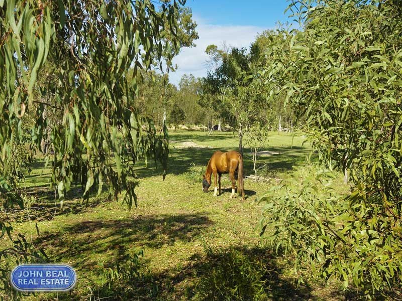 29 Jones Street, Rothwell QLD 4022