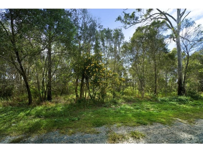 46 Jones Street, Rothwell QLD 4022