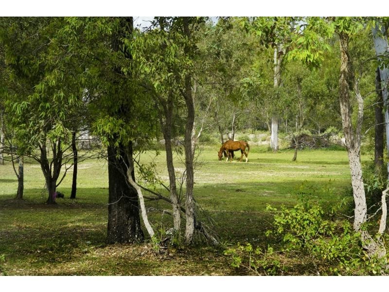 46 Jones Street, Rothwell QLD 4022