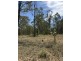 Lot 4 Nanango Brooklands Road, Brooklands QLD 4615