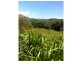 7 Racecourse Road, Cooktown QLD 4895
