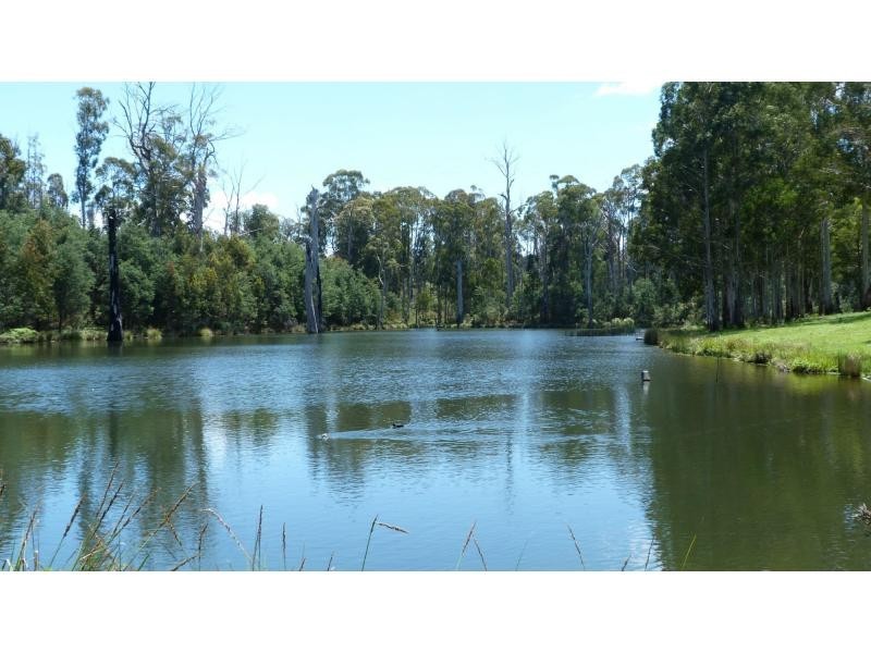 275 Burder Lane, Whitlands, Whitfield VIC 3733