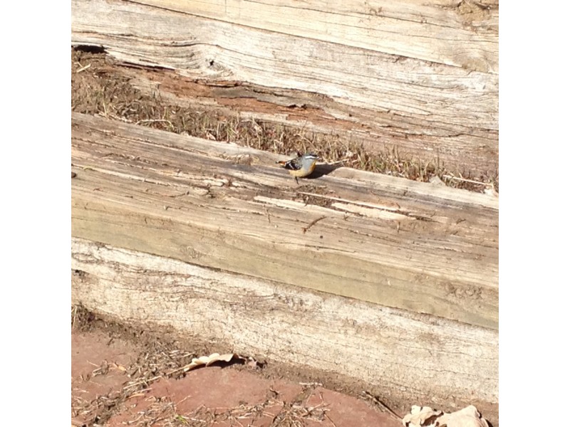 15 School Road, Benalla VIC 3672