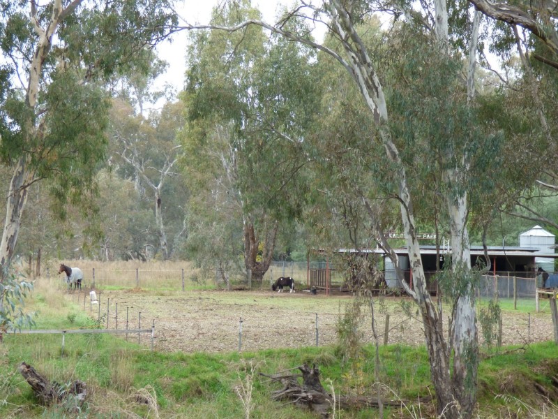 11 Hairs Crescent, Benalla VIC 3672