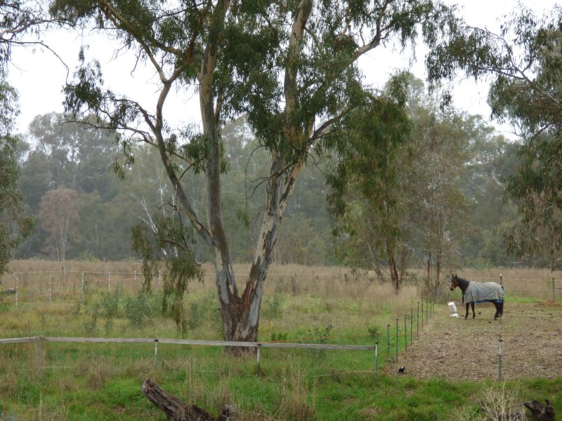 11 Hairs Crescent, Benalla VIC 3672