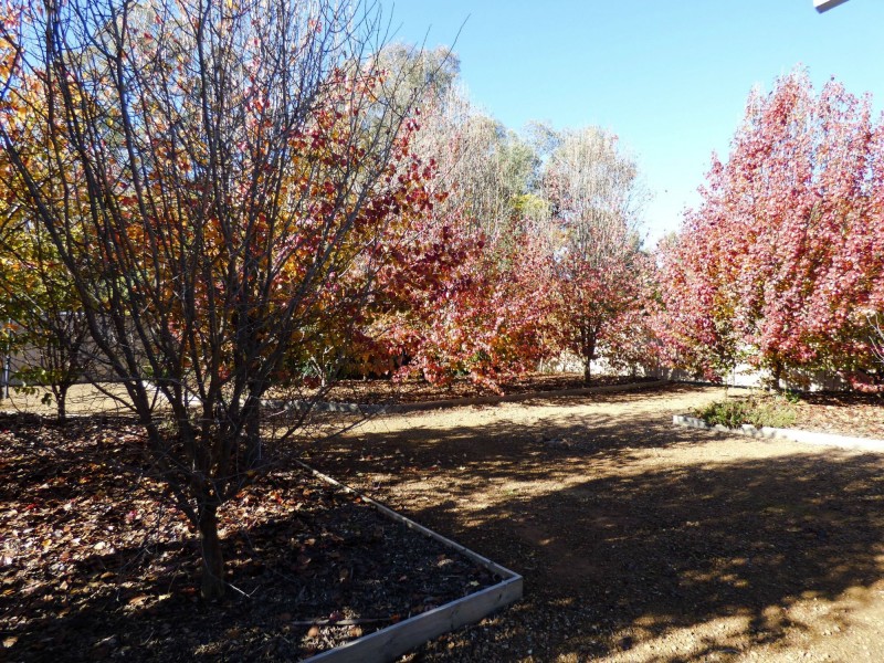 19 Carlyle Street, Benalla VIC 3672