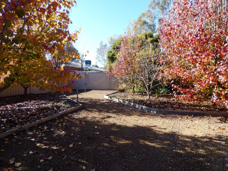 19 Carlyle Street, Benalla VIC 3672