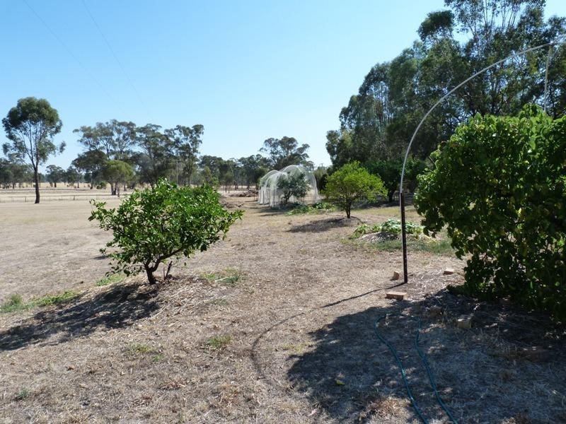 532 Four Mile Road, Benalla VIC 3672