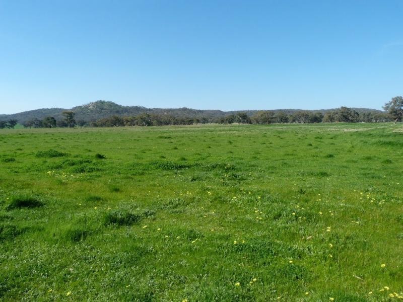 1926 Glenrowan Boweya Road Road, Mt Bruno, Taminick VIC 3675